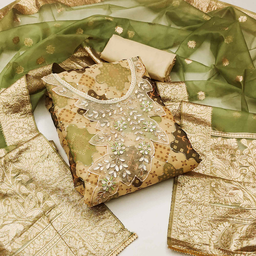 Chikoo Printed Organza Dress Material