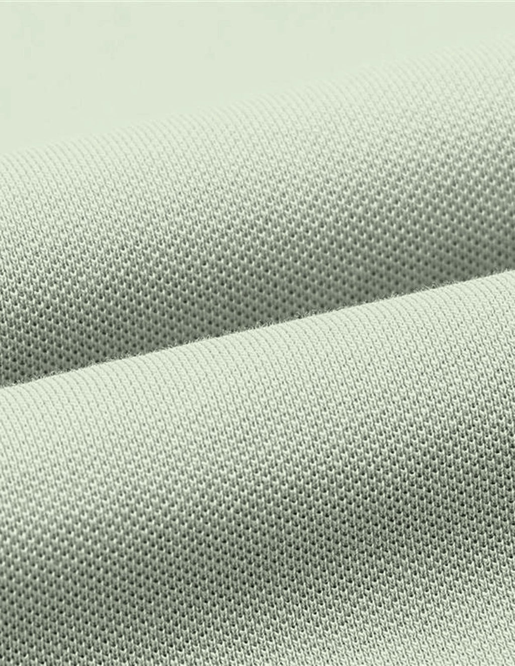 Brand Embroidered Regular Fit Polo Shirt