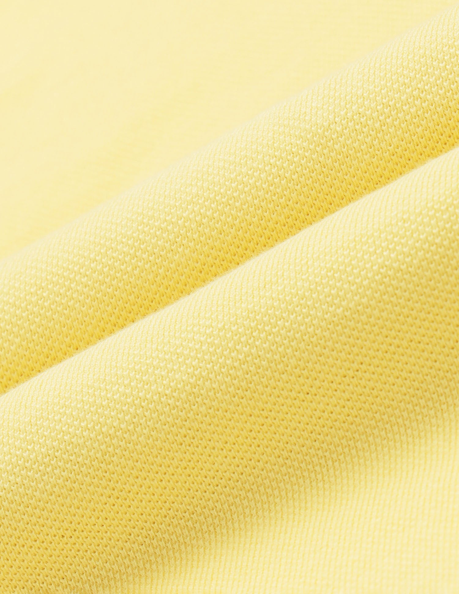 Brand Embroidered Regular Fit Polo Shirt