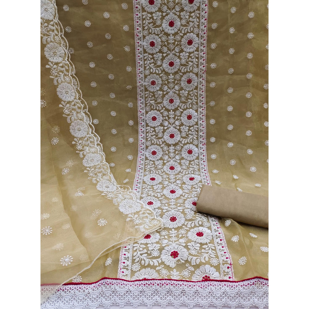 Chikoo Organza Dress Material With Intricate Floral Thread Embroidery